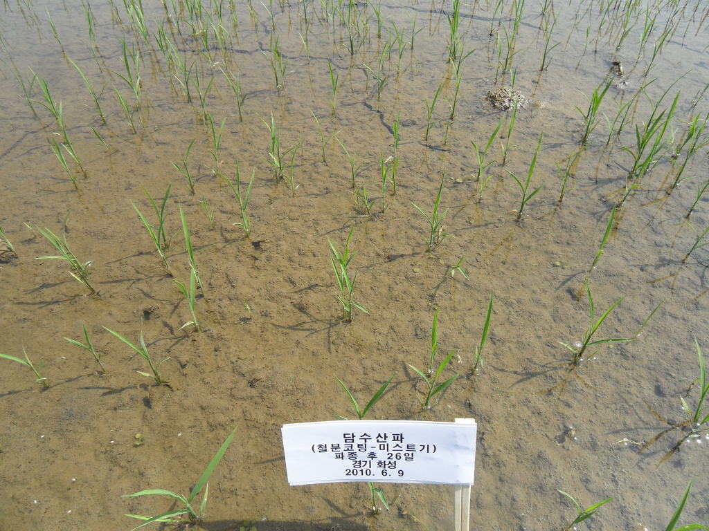 황금직파기 이미지