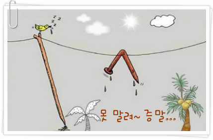 인고고 이미지