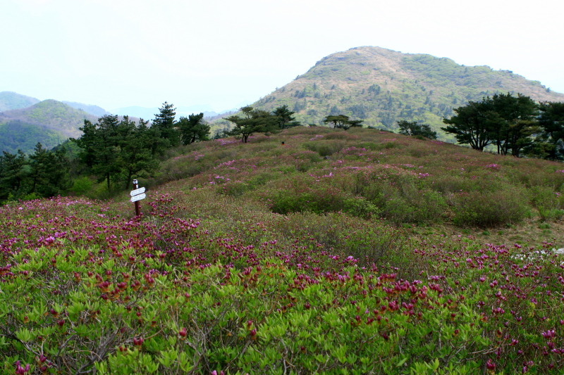 cafe 정남진 이미지