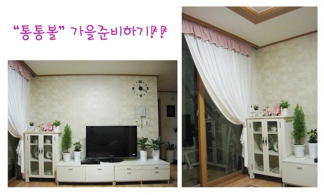 핑크커튼 이미지