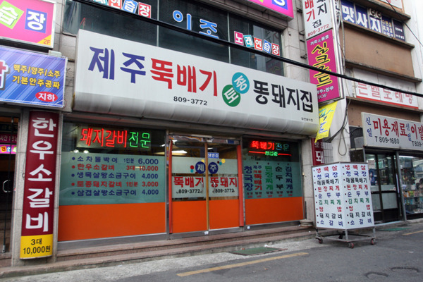 제주토종똥돼지 이미지