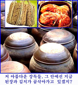 마냥푸드 이미지