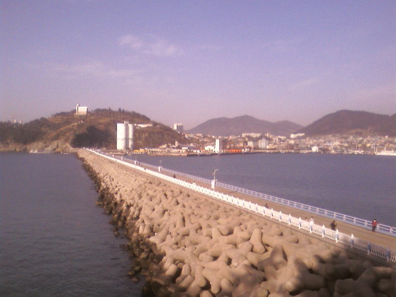 오동도 이미지