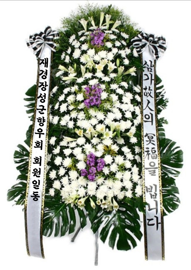 장성중학교 이미지