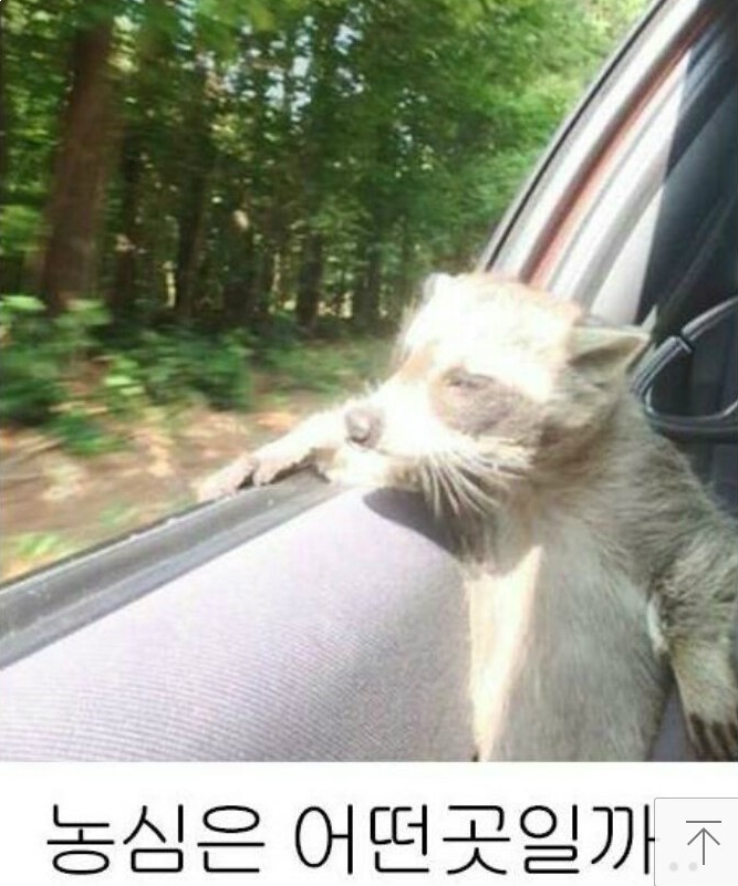 농심가 이미지