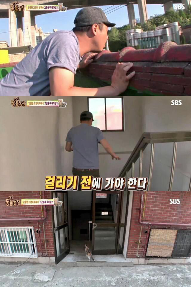 실패한 잠입취재 | 인스티즈