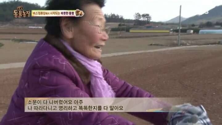 [동물농장] 할머니와 발바리의 따뜻한 우정 | 인스티즈