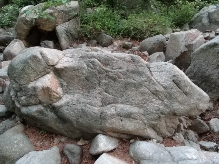 아차돌 이미지