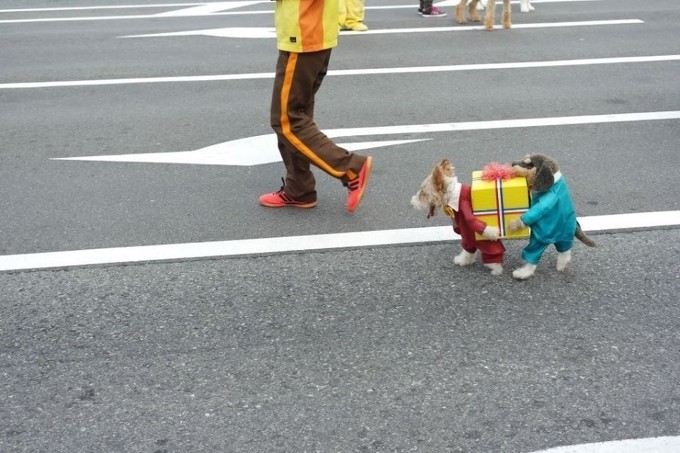 거참 이미지
