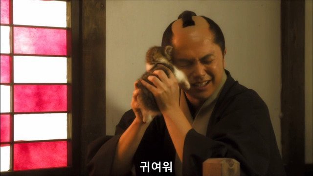 고양이를 키우는 사람들의 마음.jpg | 인스티즈