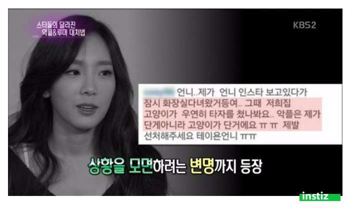 터치 방법을 알게된 고양이 | 인스티즈