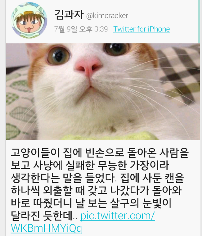고양이한테 인정받는 방법 | 인스티즈