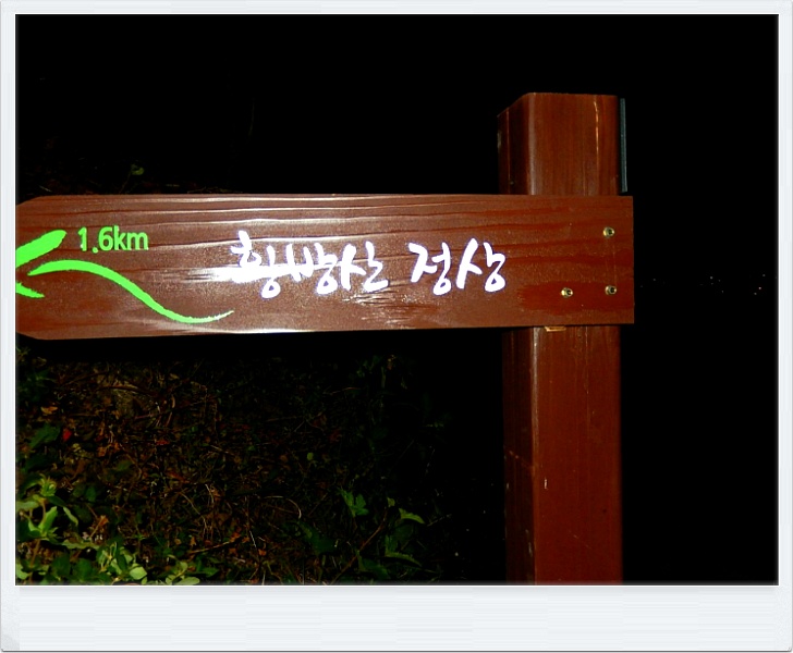 들길따라 이미지
