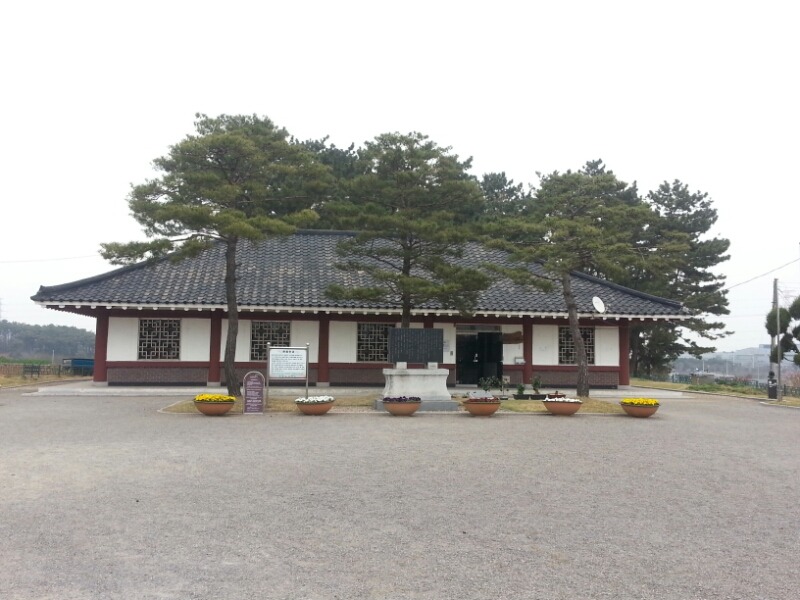 상록수 이미지