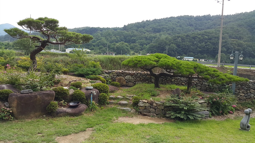 소나무커피 이미지