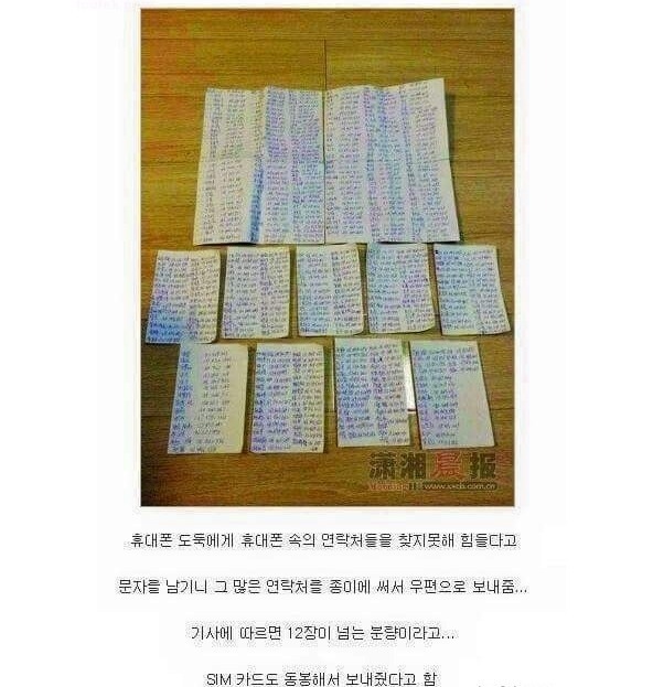 대륙의 착한(?) 도둑.jpg | 인스티즈
