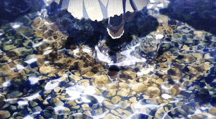 [쿄애니] 작화팀의 생존 여부가 궁금해지는 쿄애니 신작 작화 퀄리티.gif | 인스티즈