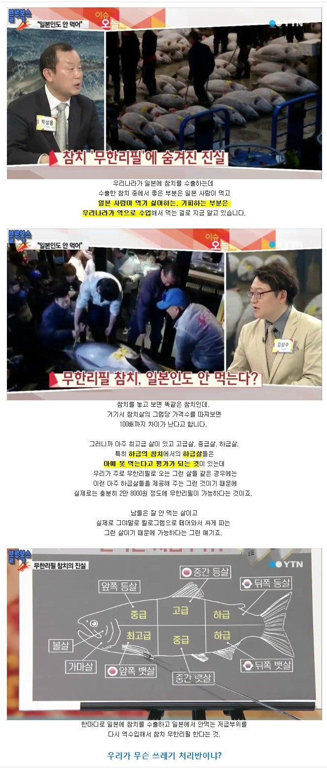 안참치 이미지