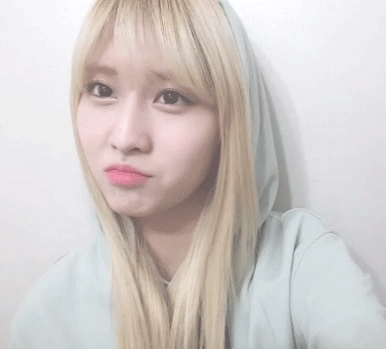 [트와이스] Z르지마 얼마 가Zl 않아 모구리 짤모음.jpg | 인스티즈