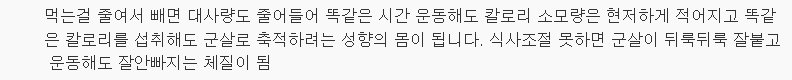 달리기 열심히 해도 살 안 빠지는 이유 4 | 인스티즈
