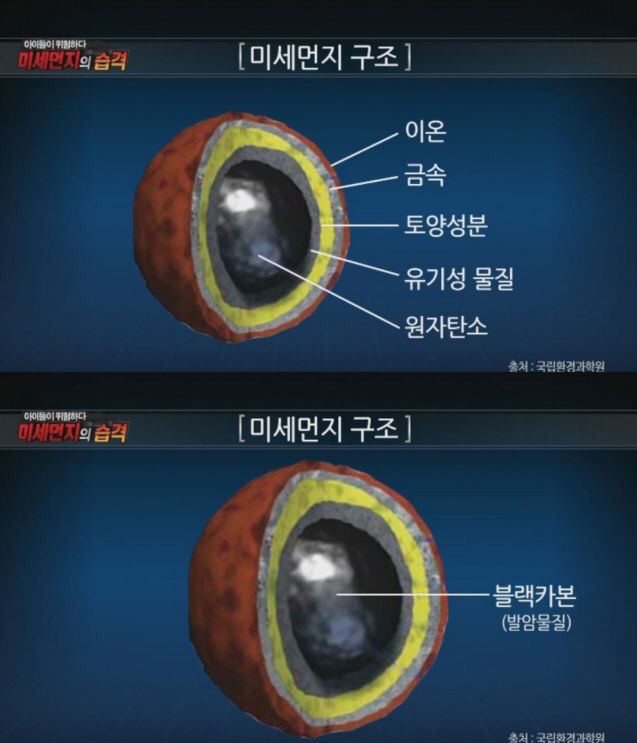 미세먼지의 위험성 | 인스티즈