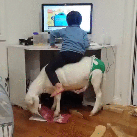엄마가 컴퓨터하지말라고 의자치움 | 인스티즈