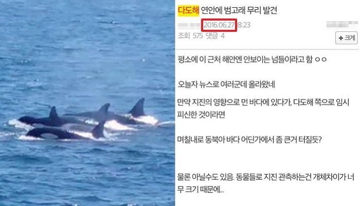 지진갤러들의 지진 예측 적중률이 높은 이유.JPG | 인스티즈