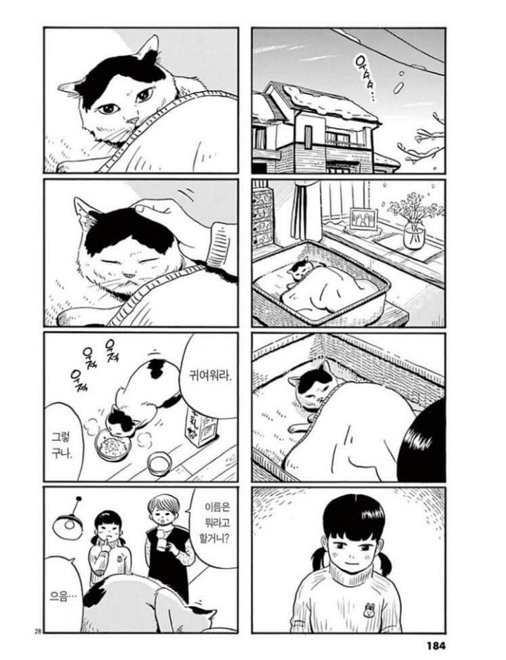 고양이 분짱(슬픔주의) | 인스티즈