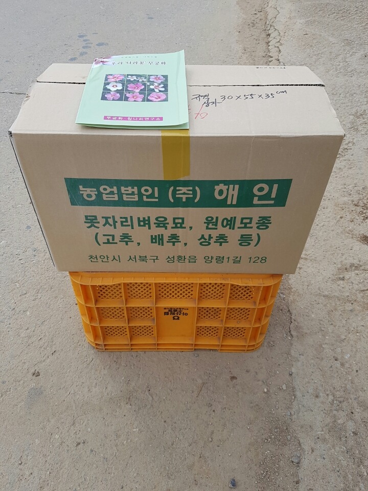 무궁화통신 이미지