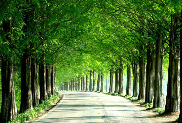 대한민국 최고의 드라이브코스들 총망라 | 인스티즈