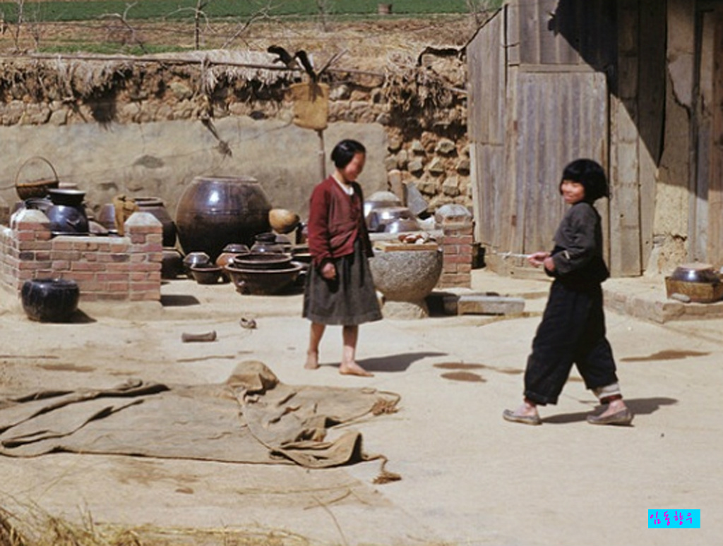 진달래먹고물장구치고 이미지