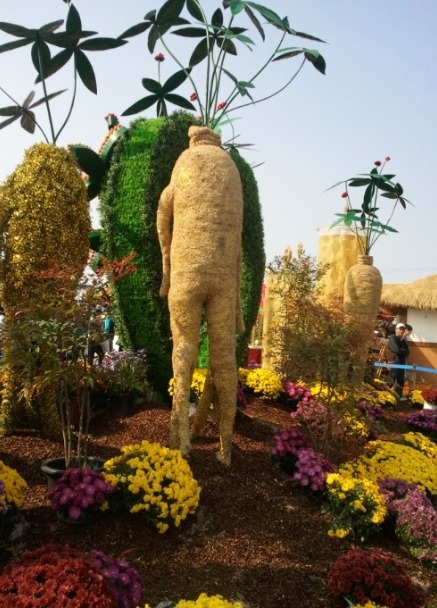 대한인삼 이미지