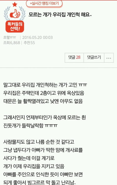 모르는 개가 우리집 개인척 해요.jpg | 인스티즈