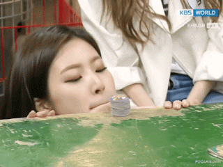 딱지 부는 소나무 움짤 | 인스티즈