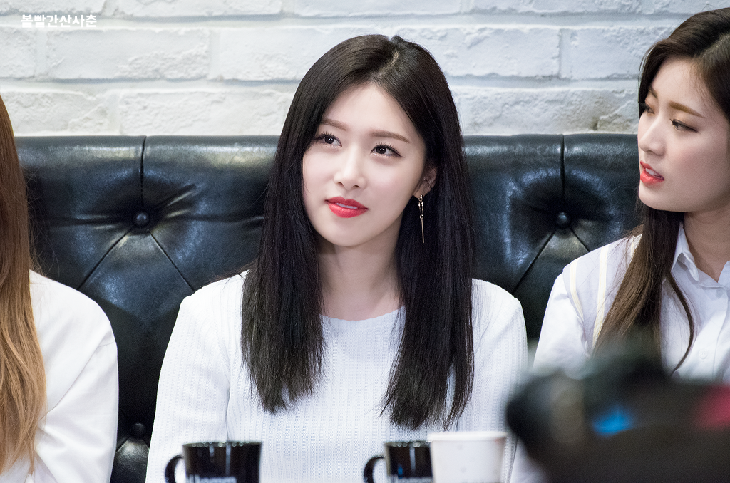 소나무와커피 이미지