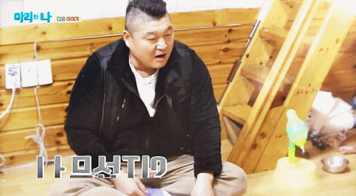 하룻강아지 범 무서운줄 모름.gif | 인스티즈