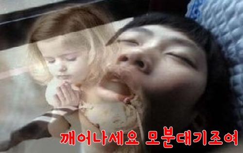 트와이스 룸메즈 정연이랑 모모 먹방.gif | 인스티즈