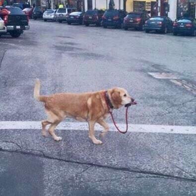 나 어디 안가.jpg | 인스티즈