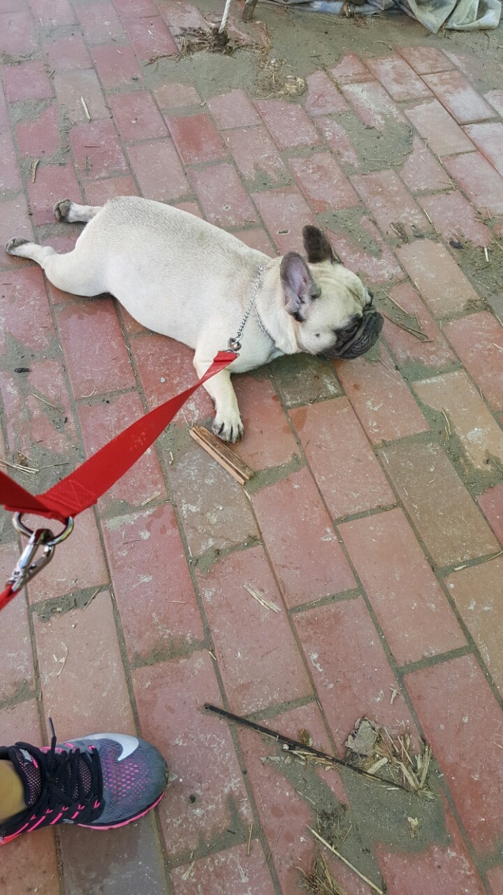마스 이미지