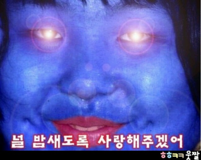 밤새 우리 이미지