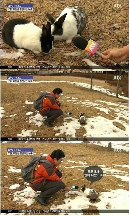 손석희 오기 전 jtbc | 인스티즈