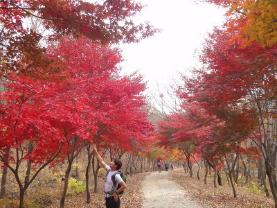 급시우 이미지