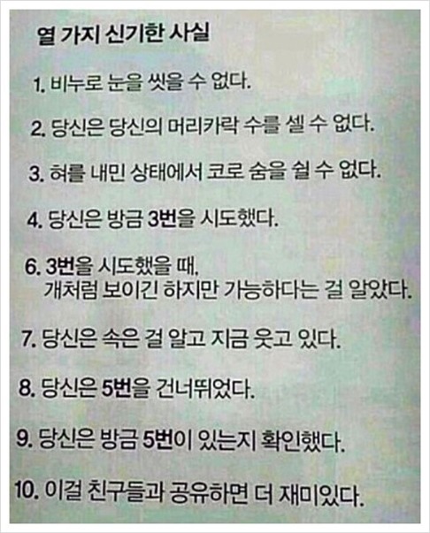 열가지 신기한 사실 | 인스티즈