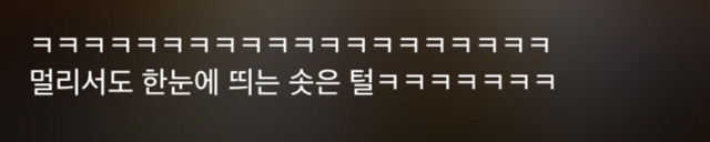 특이한 곳에 털이 자라는 까칠한 매력의 고양이 | 인스티즈