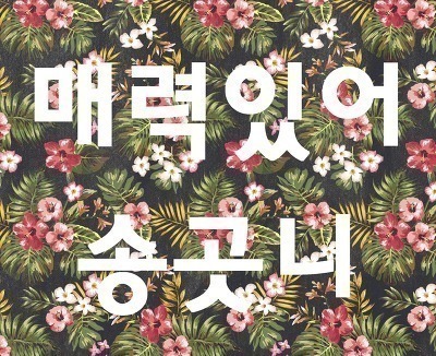 귀여운 사나.gif | 인스티즈