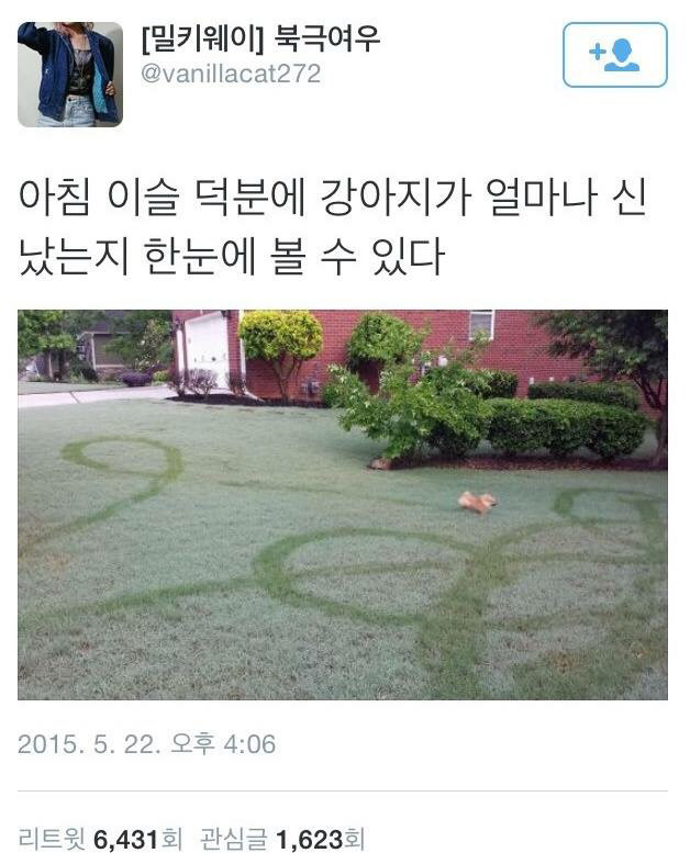 개신남 이미지