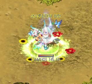 아나이스 이미지