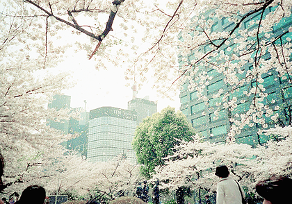 왠지 모르게 아련해지는 일본 특유의 분위기 | 인스티즈