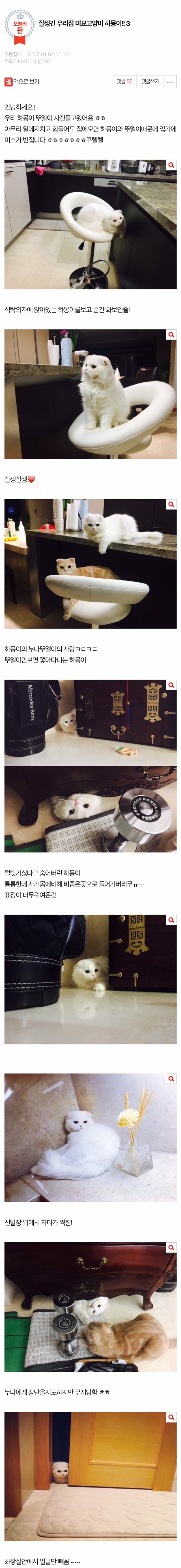 잘생긴 우리집 미묘고양이 하몽이!! 3 | 인스티즈