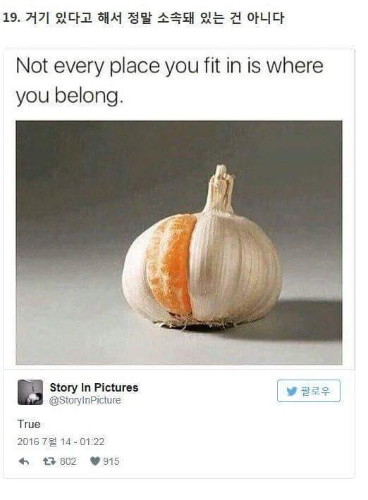 만화 한 컷에 담긴 인생 | 인스티즈